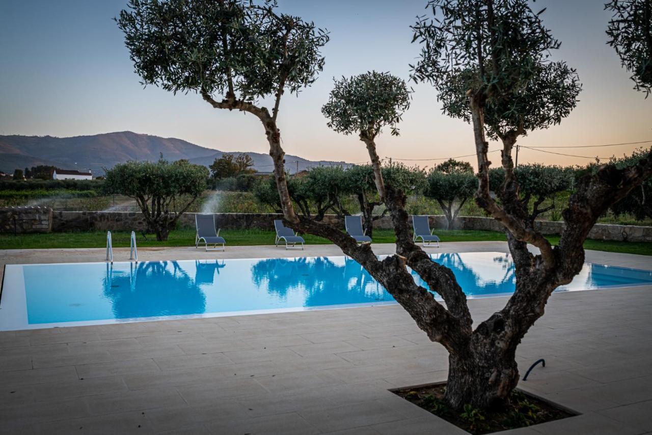 Quinta Das Oliveiras Turismo Rural 凡道 外观 照片