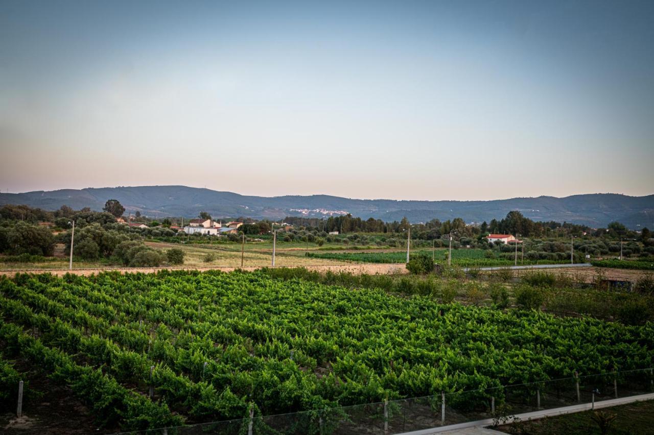 Quinta Das Oliveiras Turismo Rural 凡道 外观 照片