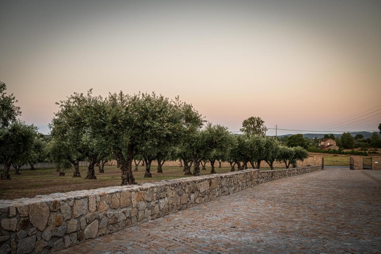 Quinta Das Oliveiras Turismo Rural 凡道 外观 照片