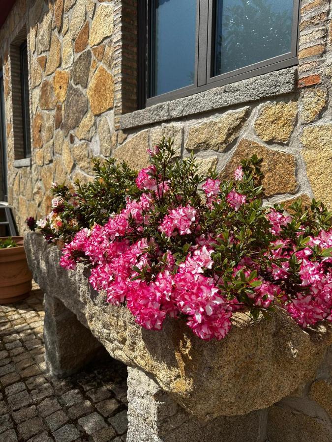 Quinta Das Oliveiras Turismo Rural 凡道 外观 照片